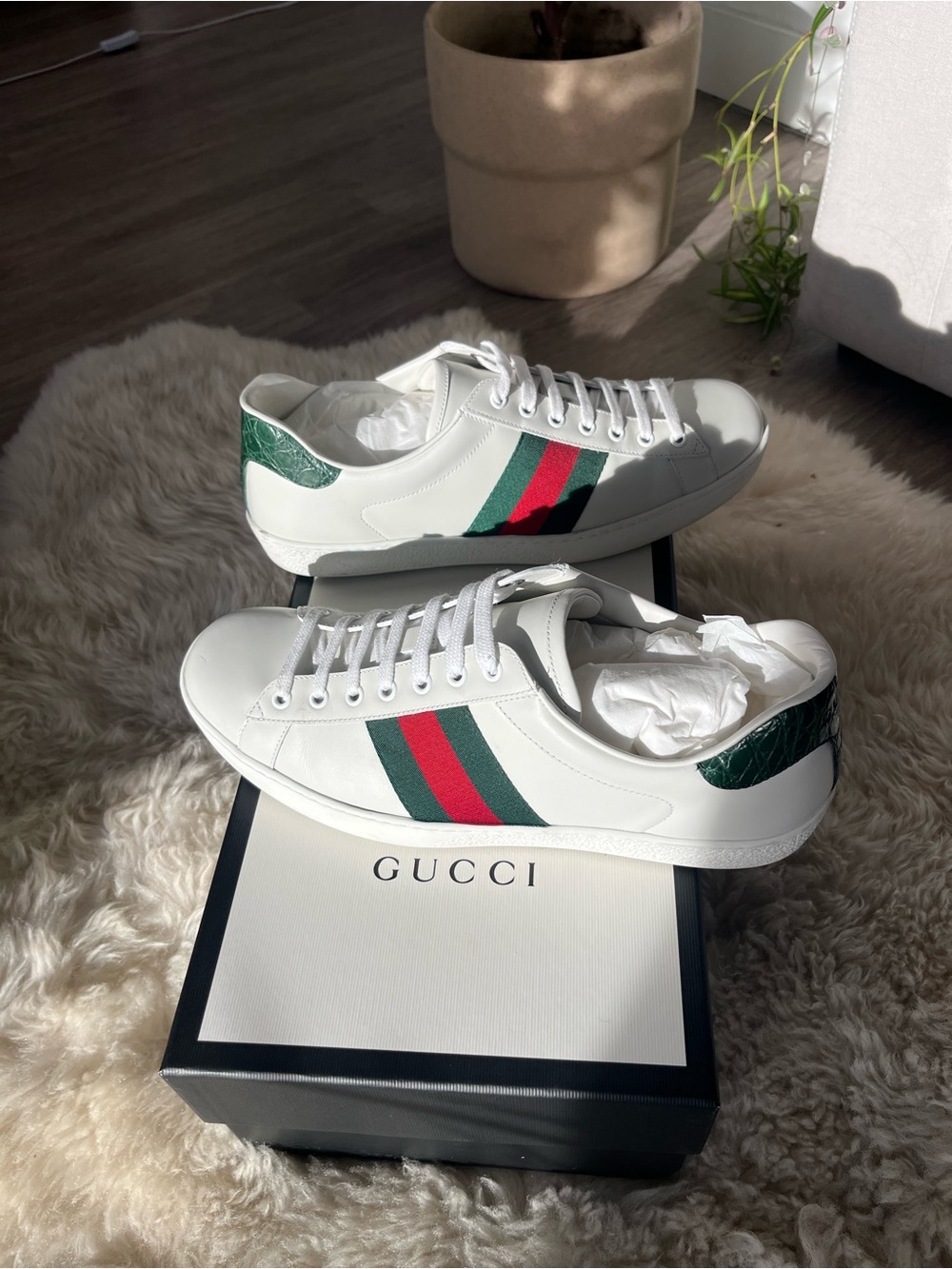 Gucci White Leather Low-Top Sneakers with Green and Red Web Stripe - Picture 2 of 6